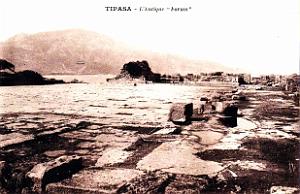 Tipasa - Ruines romaines 25